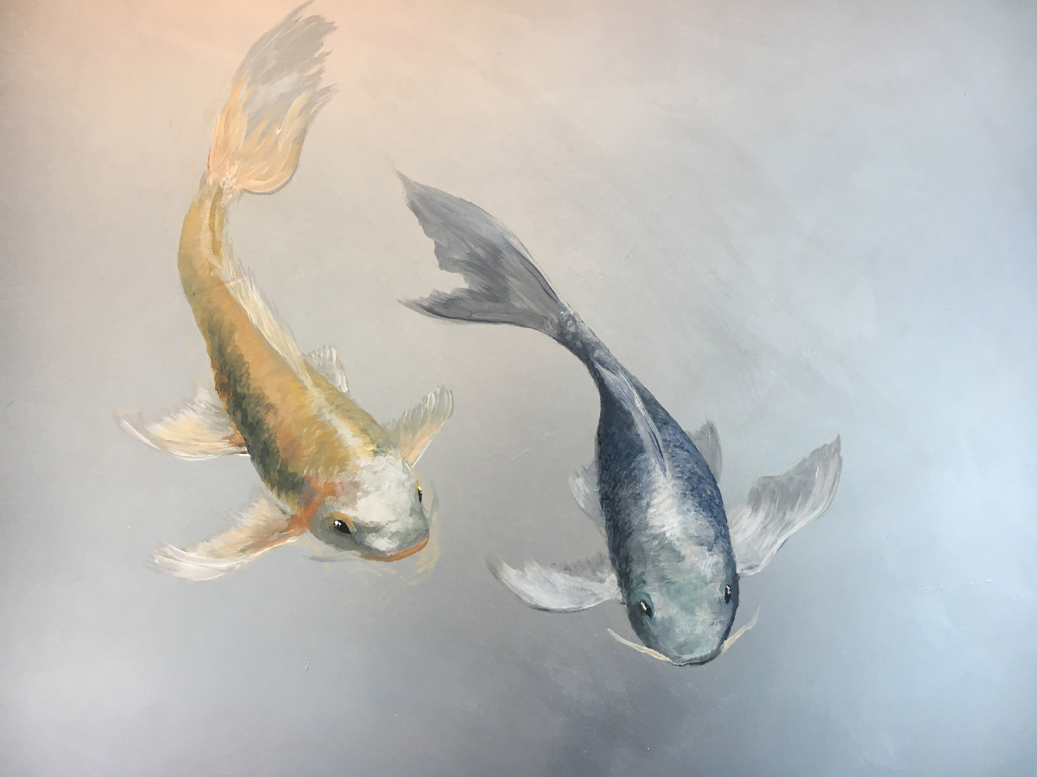 Carpe su argento, disegno su parete